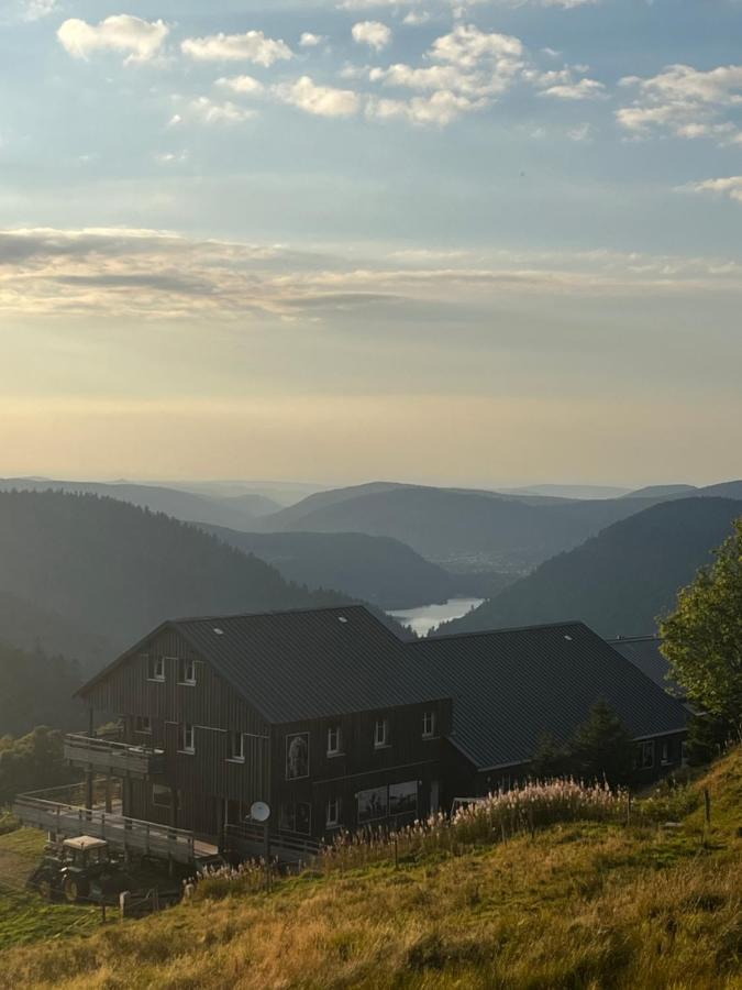 Le Chalet De La Folie Corcieux 외부 사진